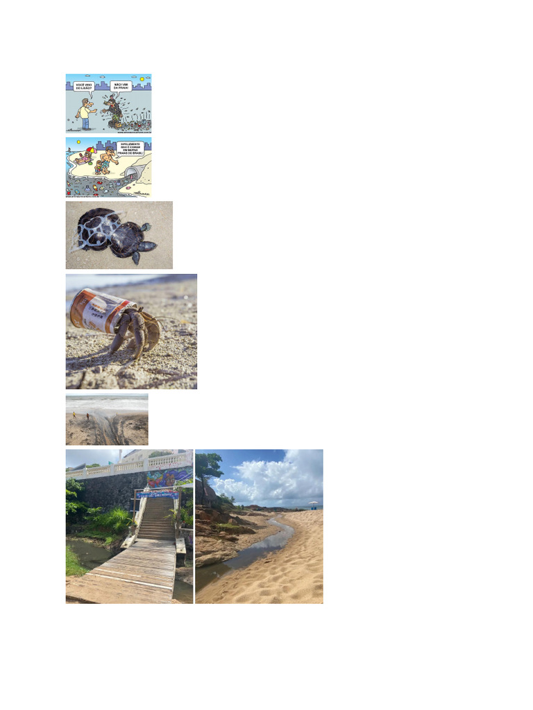Lixo | PDF