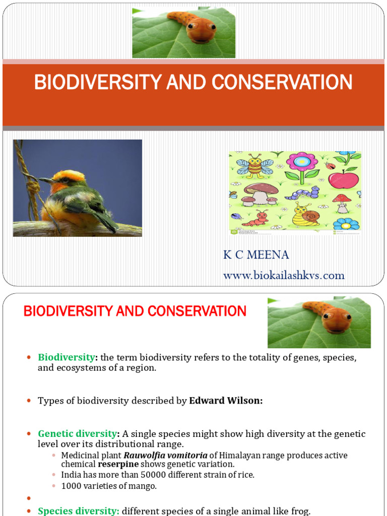 Biodiversity Conservation Overview | PDF | Biodiversity | Conservation ...