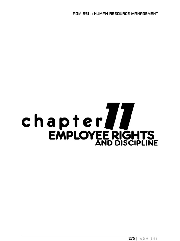 Chapter 11 PDF Mediation Employment