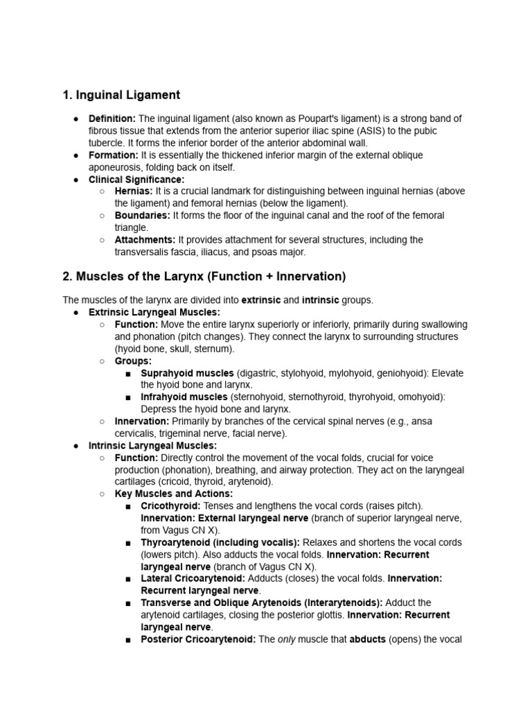Anatomy of Key Muscles and Ligaments | PDF | Larynx | Anatomical Terms ...