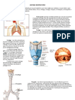 Anatomia Fisiologia Do Sistema Respiratorio