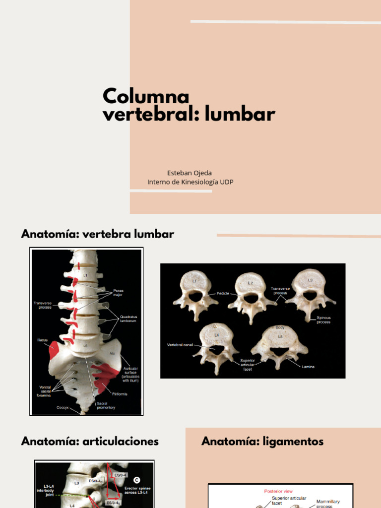 Anatomía y Pruebas de la Columna Lumbar | PDF