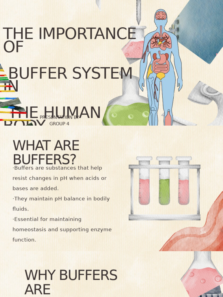 Importance of Buffer Systems in Body | PDF
