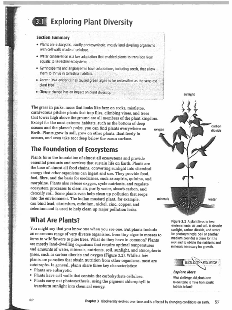 Chapter 3 Textbook | PDF