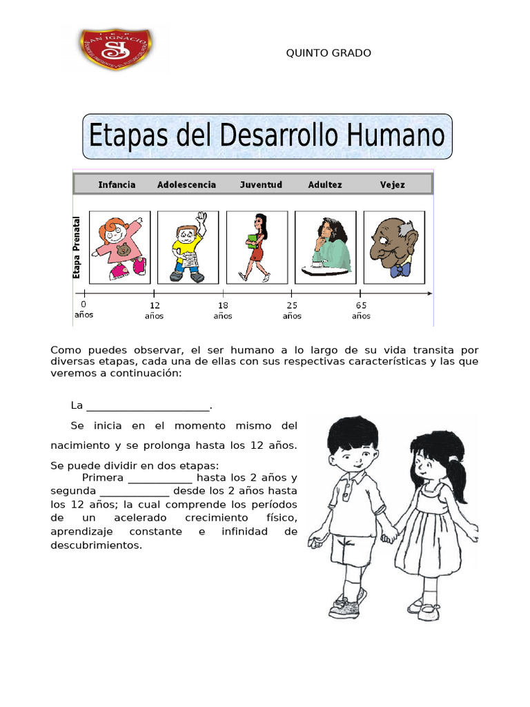 Etapas del Desarrollo Humano | PDF | Adultos | Adolescencia