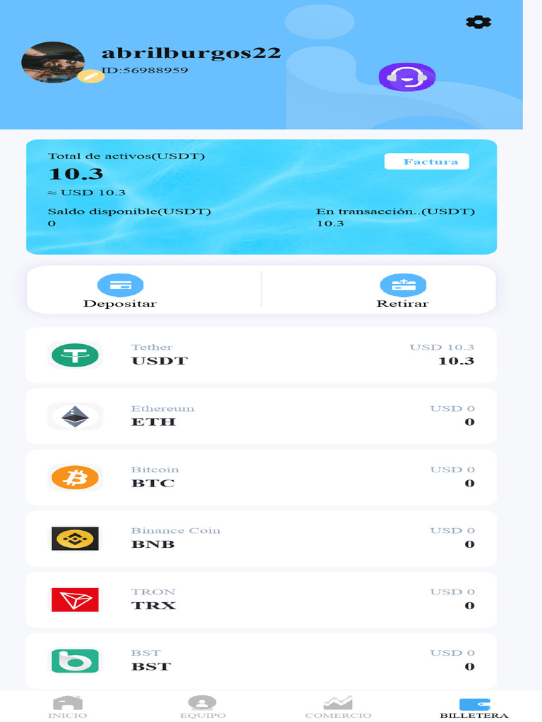 Wallet 2 | PDF