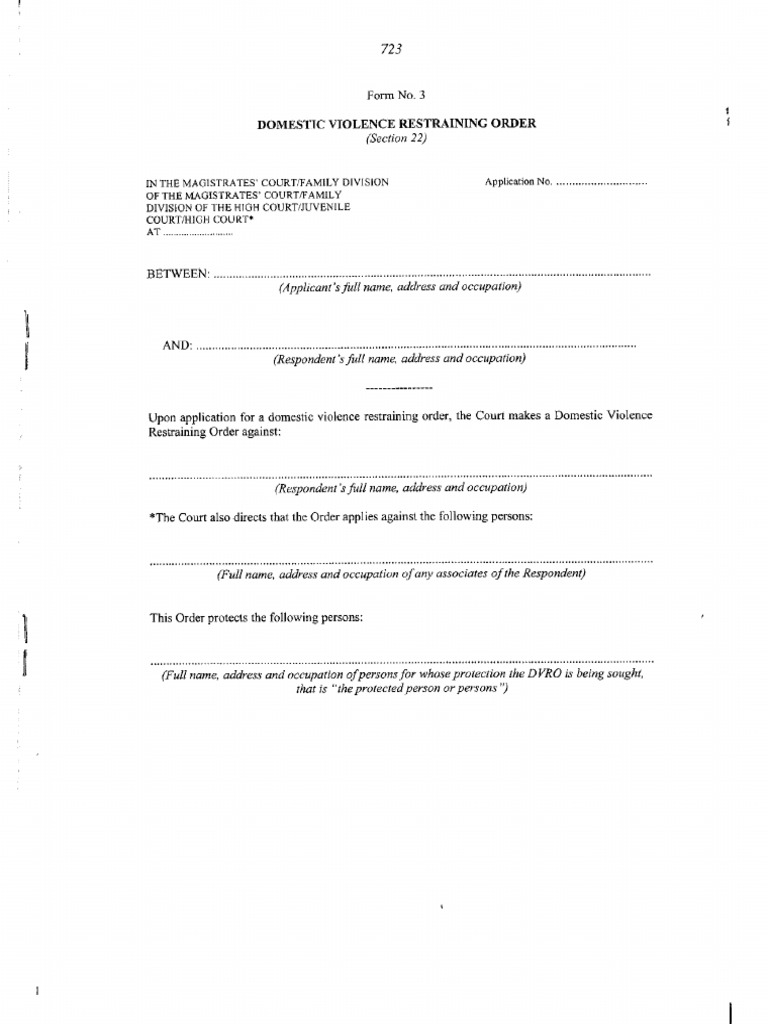 Domestic Violence Form 3 | PDF