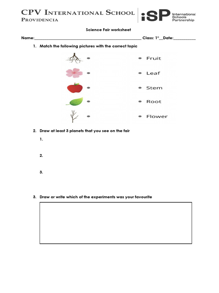 Science Fair Worksheet for Students | PDF