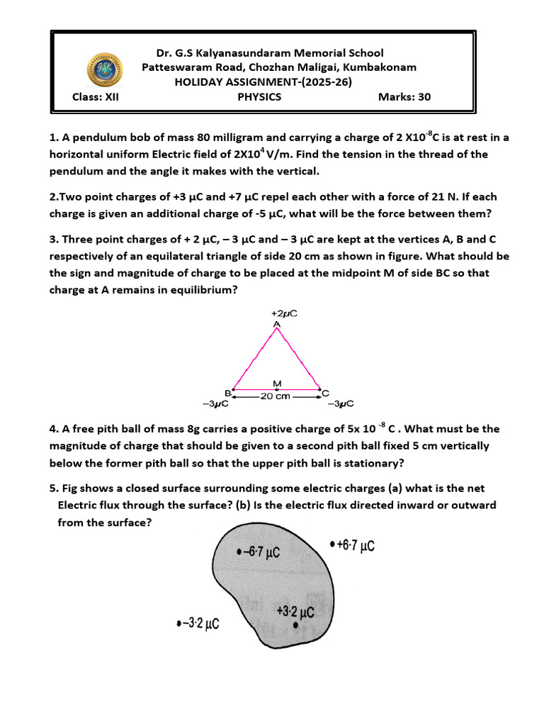 Class XII Physics Holiday Assignment | PDF | Electric Field | Physical ...