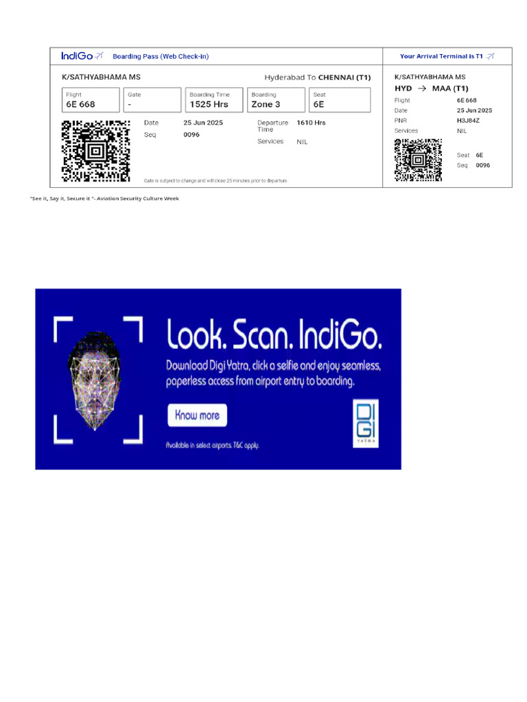 Boarding Pass | PDF