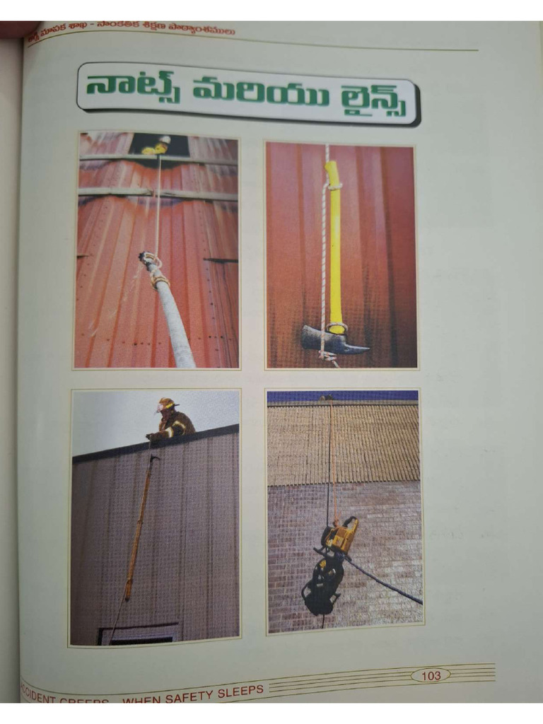 Knots & Lines | PDF