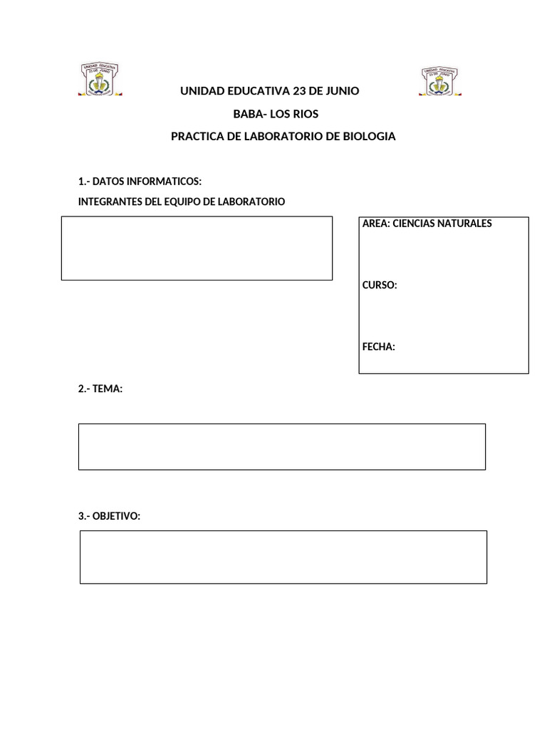 Formato Practica | PDF