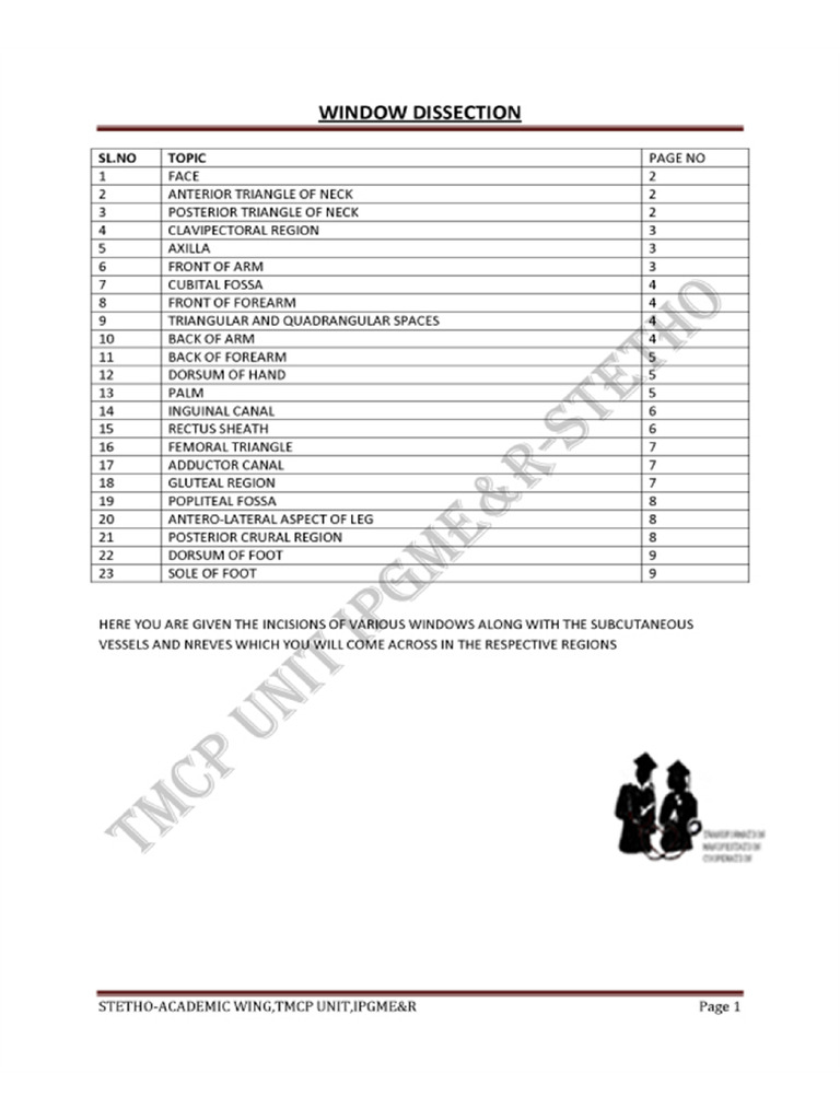 Window Dissection 1 | PDF