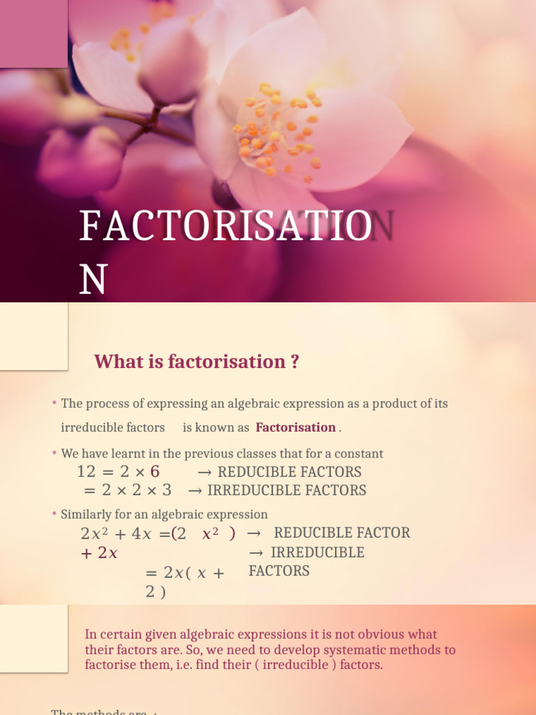 Understanding Factorisation Methods | PDF | Factorization | Algebra