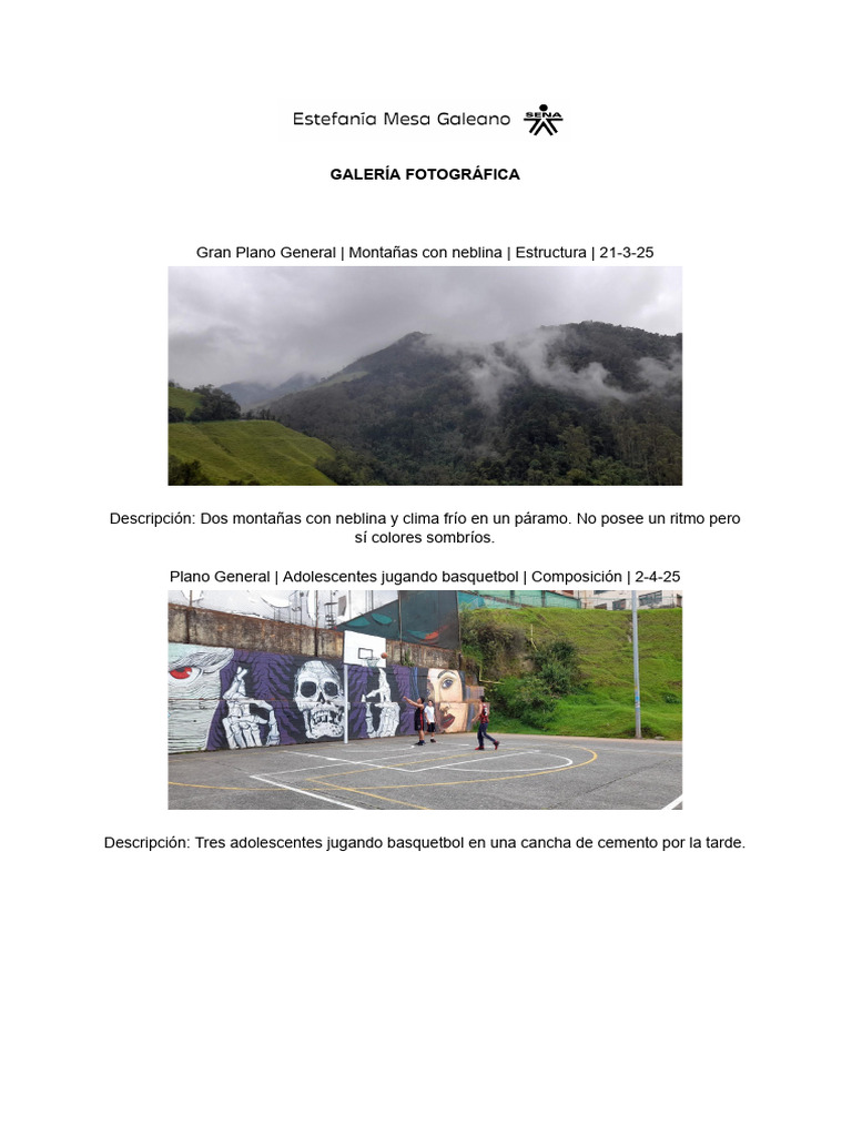Galería Fotográfica | PDF