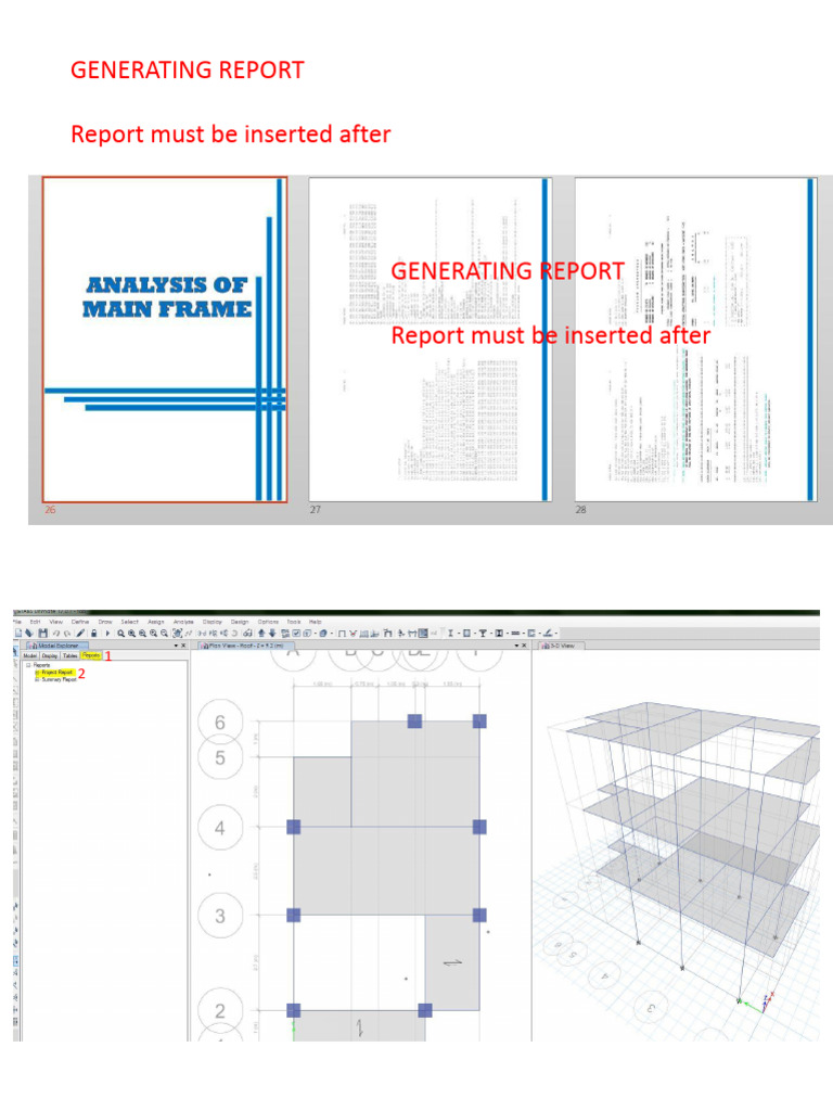 11 Print Report | PDF