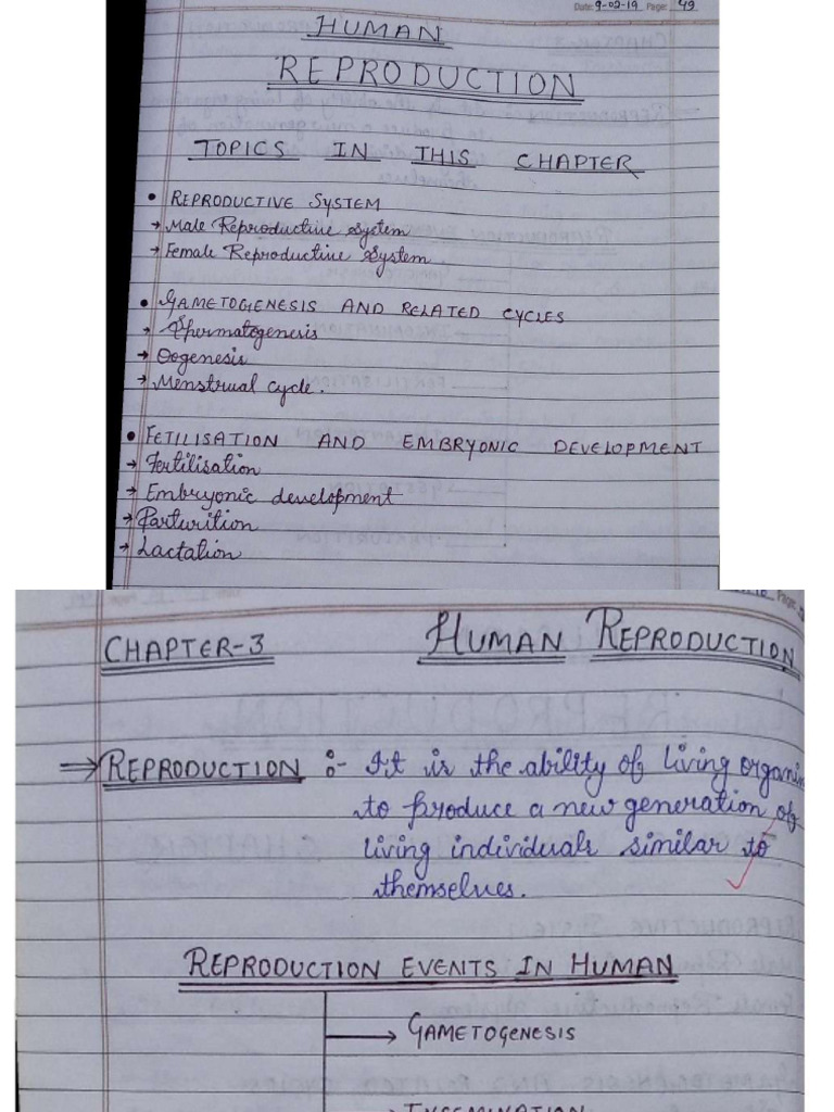 Human Reproduction | PDF