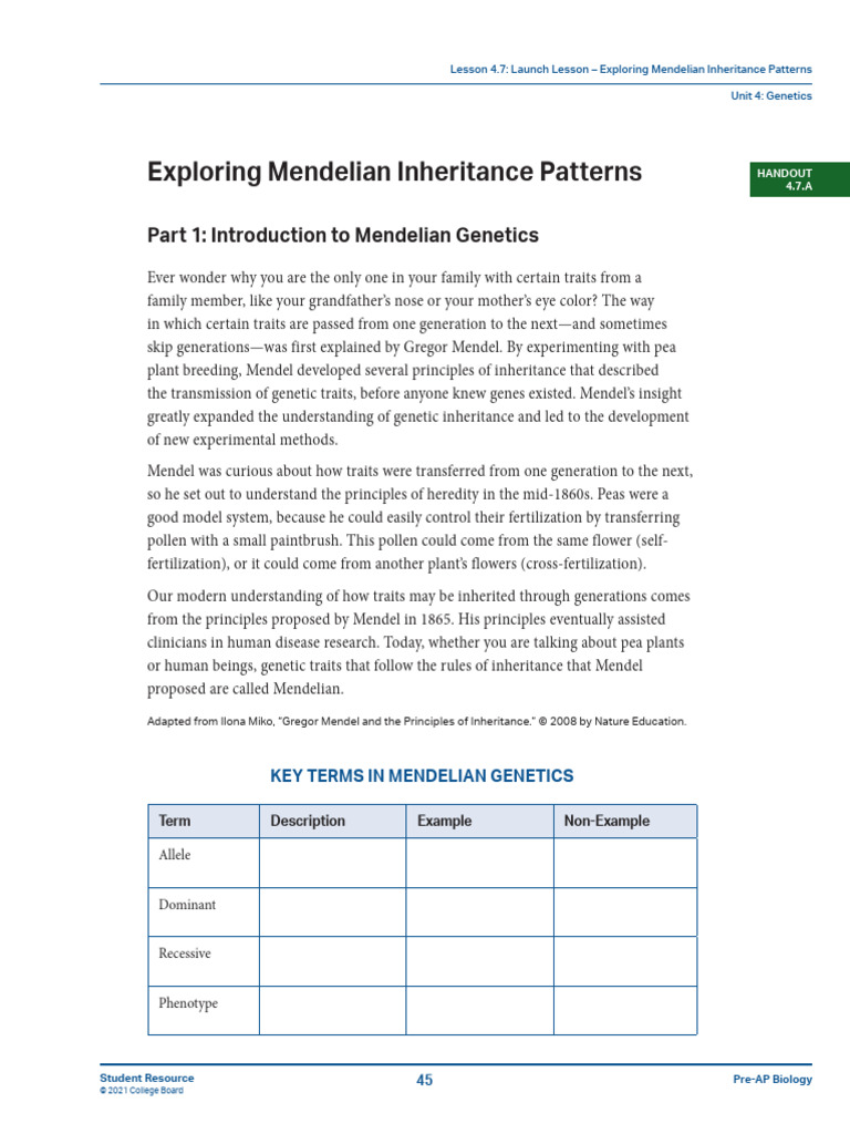 Mendelian Inheritance in Pigeons | PDF | Dominance (Genetics) | Genotype