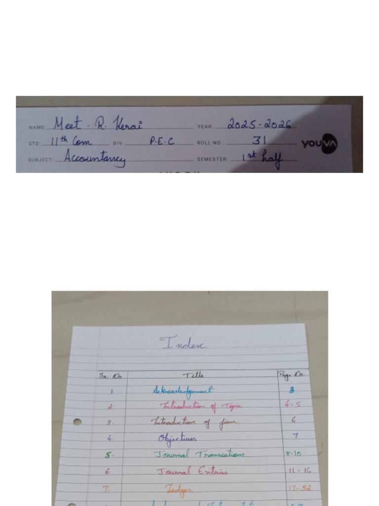 Accountancy Project | PDF