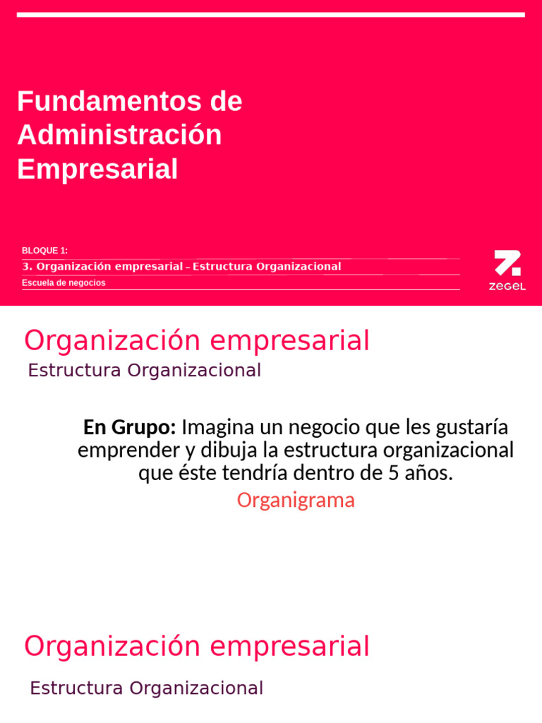 Tipos de Estructura Organizacional Empresarial | PDF | Business | Economias