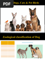 Dog Breeds | PDF