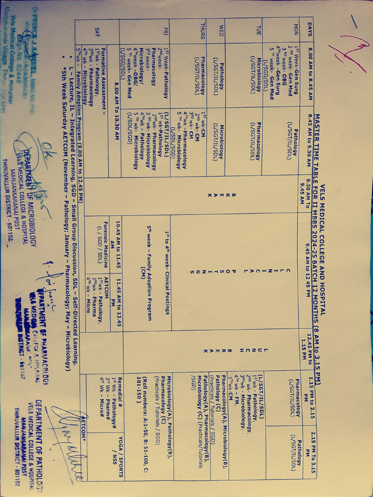 Timetable - 2024-25 Batch Phase II MBBS | PDF