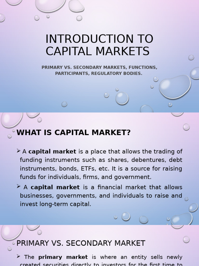 Introduction To The Capital Markets | PDF | Capital Market | Securities ...