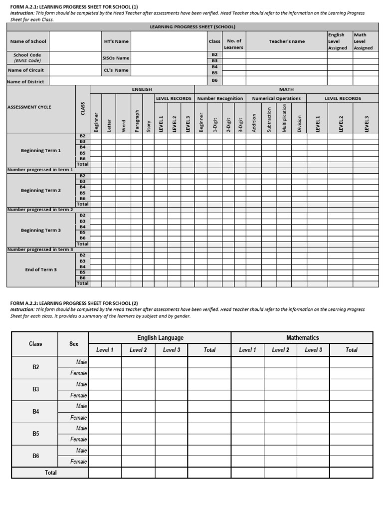 Learning Progress Sheet for Schools | PDF | Learning