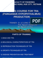 Training Course For Tra (Pangasius Hypophthalmus) Production