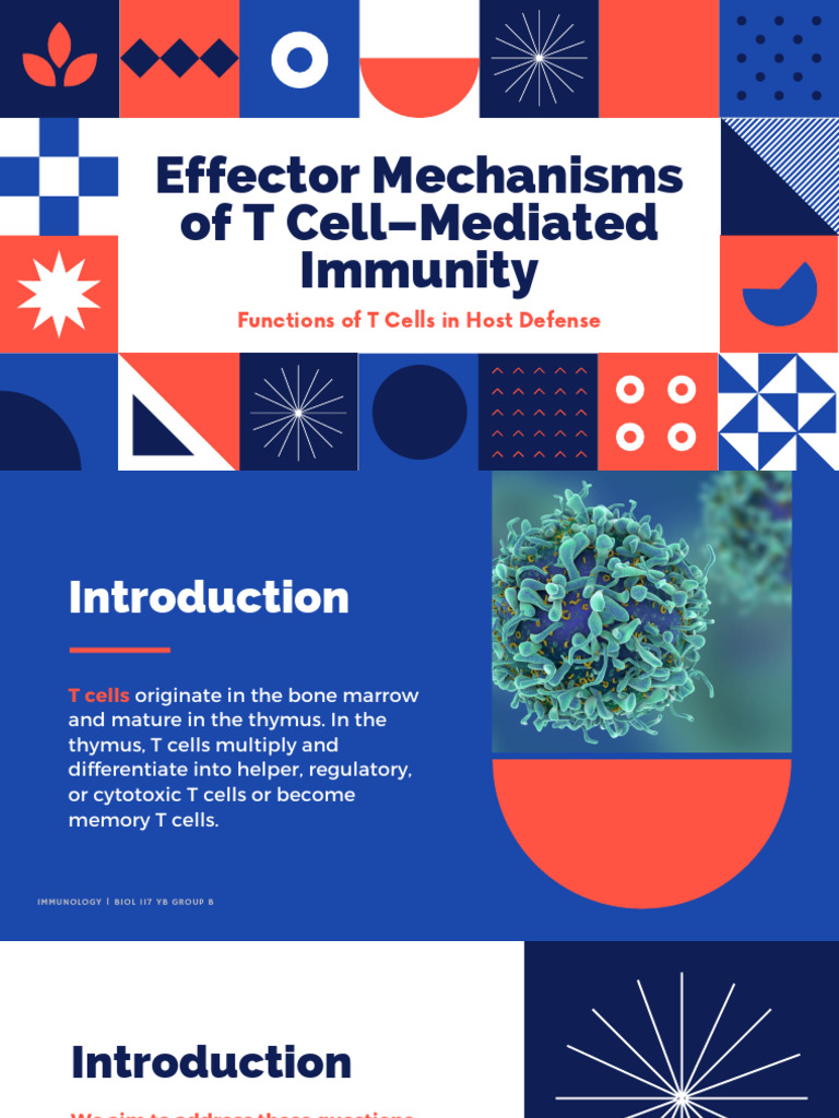 T Cell Effector Mechanisms in Immunity | PDF | T Helper Cell ...