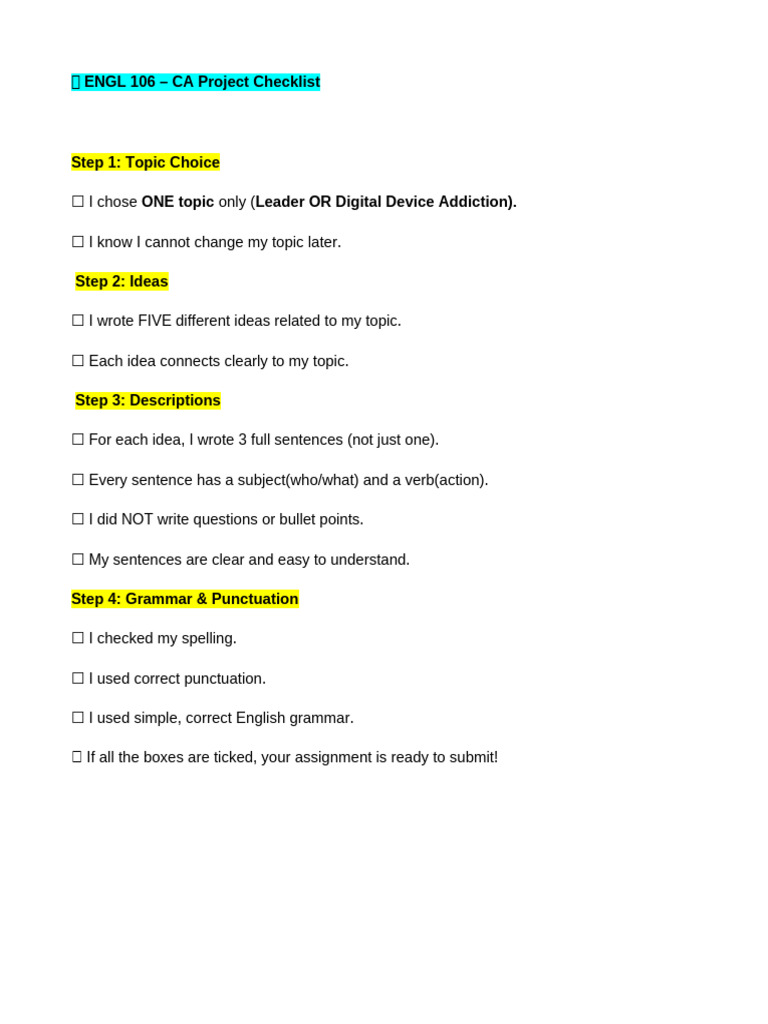 CA Project Checklist | PDF