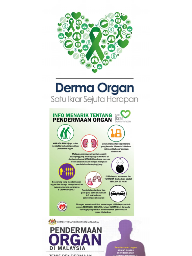 Derma Organ | PDF