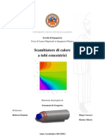 Relazione Fenomeni_ D.caccavo M.miccio