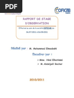Rapport de Stage Coficab