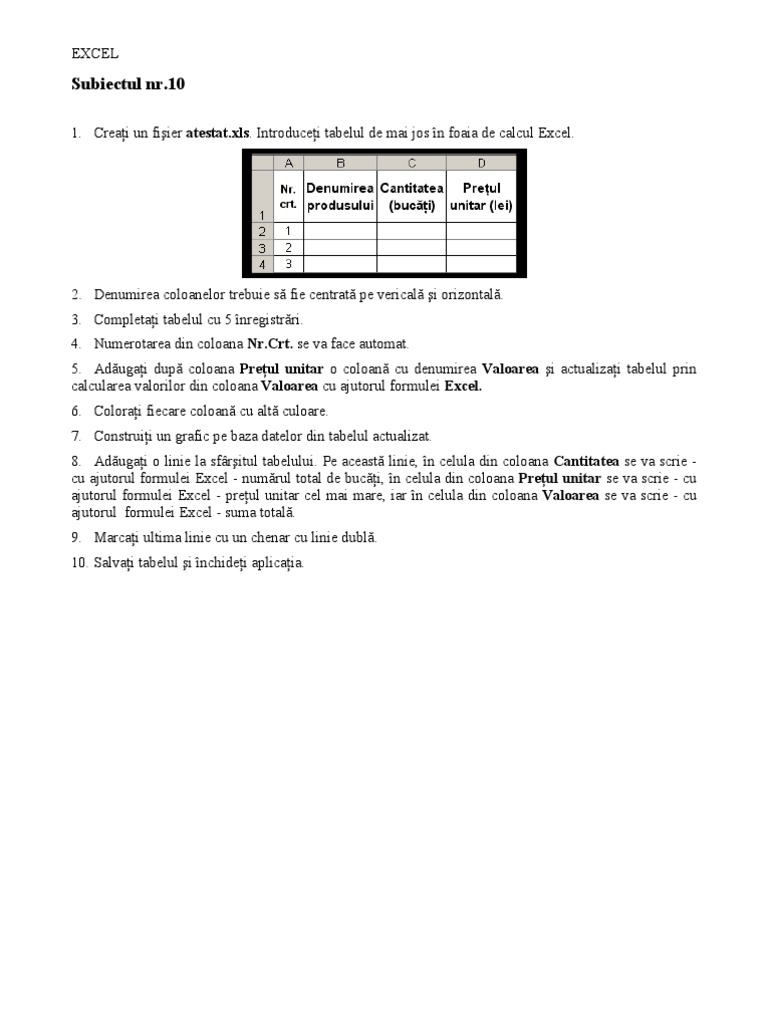 Subiecte Excel | PDF