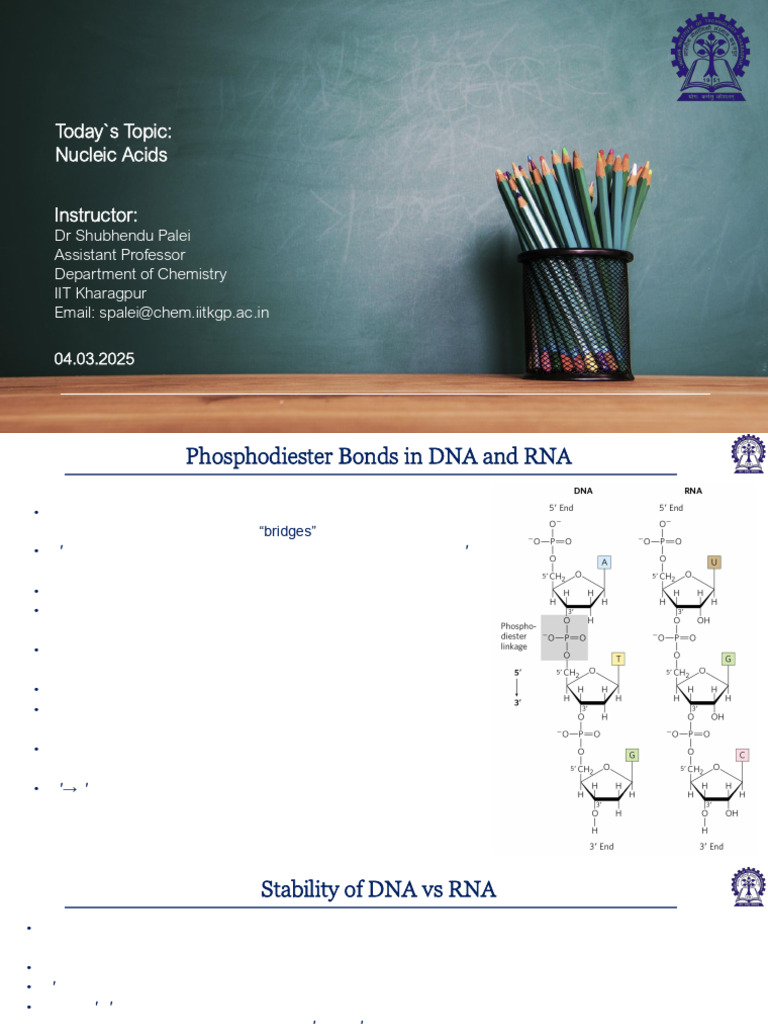 SFB Nucleic-Acids 04.03.25 | PDF | Nucleic Acids | Dna