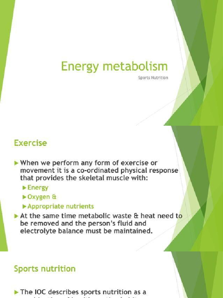 Energy Metabolism | PDF