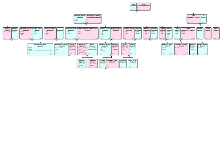 Radoičić Family Tree Overview | PDF