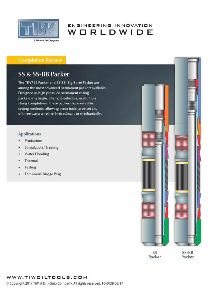 Advanced SS & SS-BB Completion Packers | PDF