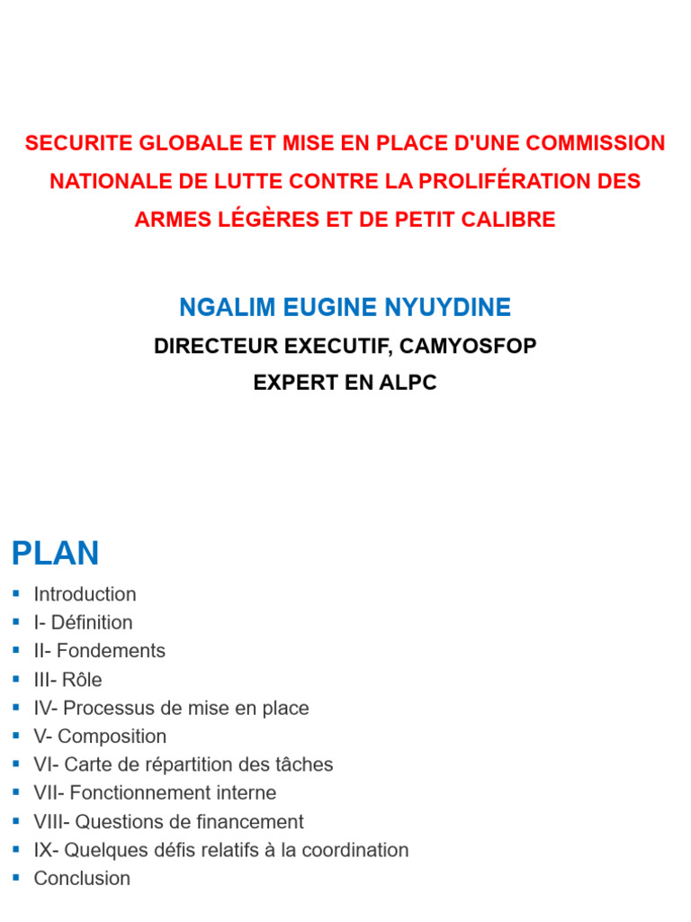Commission nationale contre ALPC au Cameroun | PDF