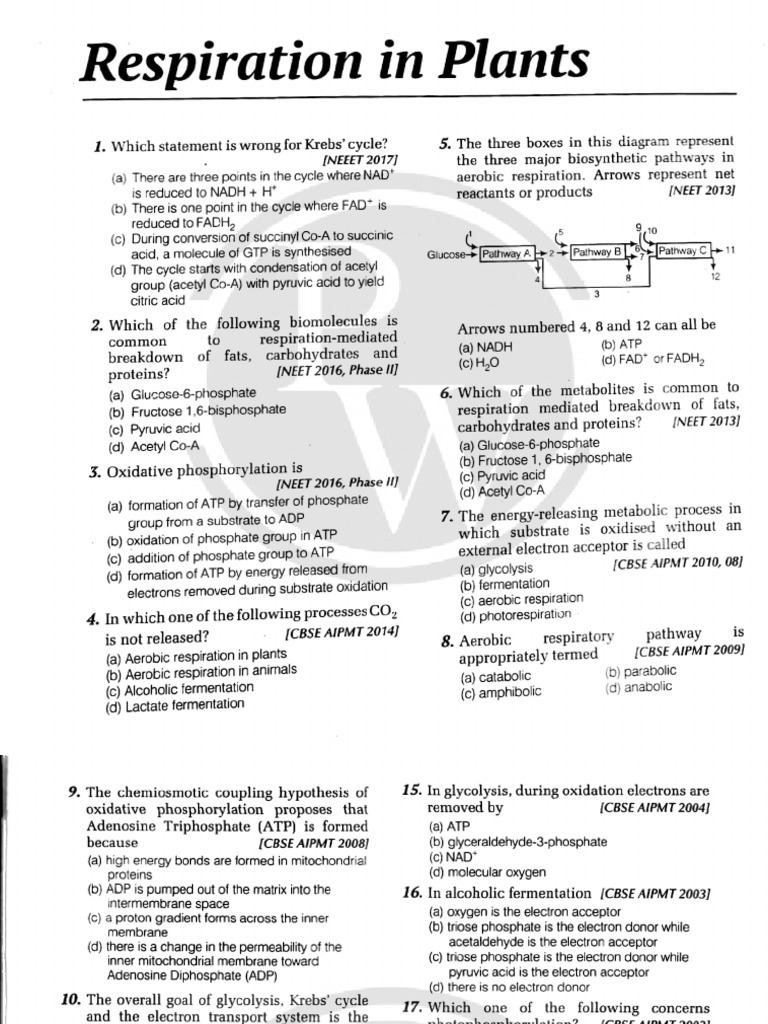 Respiration in Plants | PDF