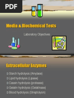 Media & Biochemical Tests: Laboratory Objectives