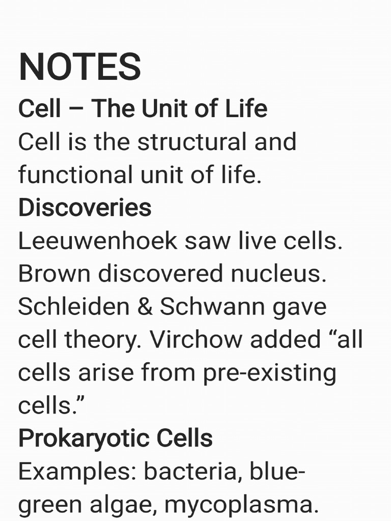 Bio Cell | PDF