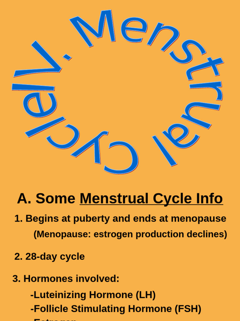 CORE Menstrual Cycle 2018 | PDF | Menstrual Cycle | Luteinizing Hormone