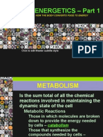 09 Metabolism Part 1