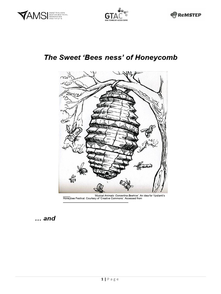 Honeycomb Geometry and Hexagons | PDF | Algebra | Honey Bee