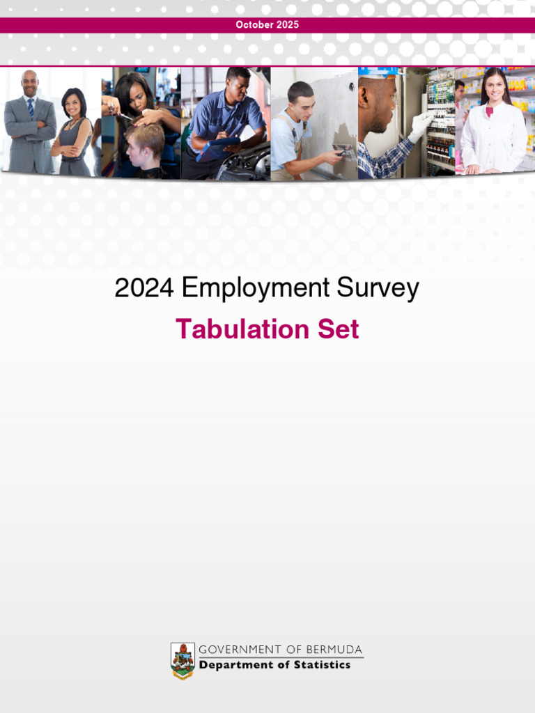 2024 Employment Survey Results | PDF | Crafts | Business