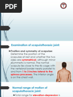 Scapular Muscle Testing Guide | PDF | Anatomical Terms Of Motion | Shoulder
