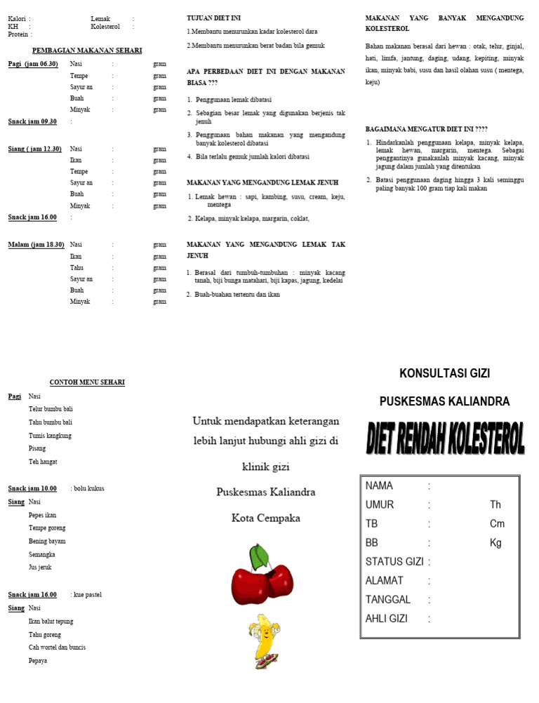 Rencana Diet Sehat Turunkan Kolesterol | PDF