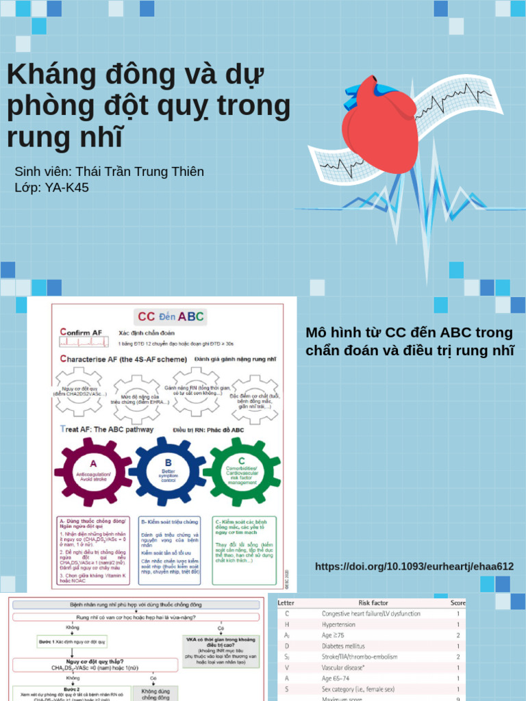 Kháng Đông Và Dự Phòng Đột Quỵ Trong Rung Nhĩ - Trung Thiên | PDF